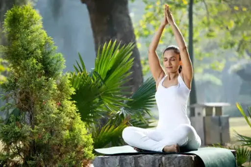 Basic Yoga + Nutrition training – 100 Hours – 50 days